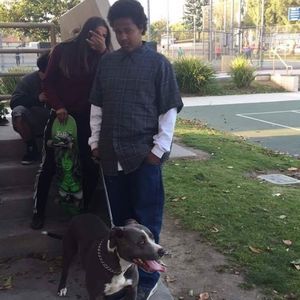 Meet your Posher, Bv